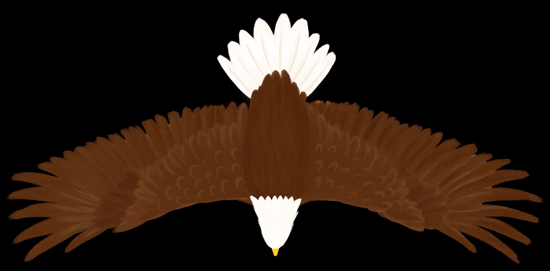flying eagle