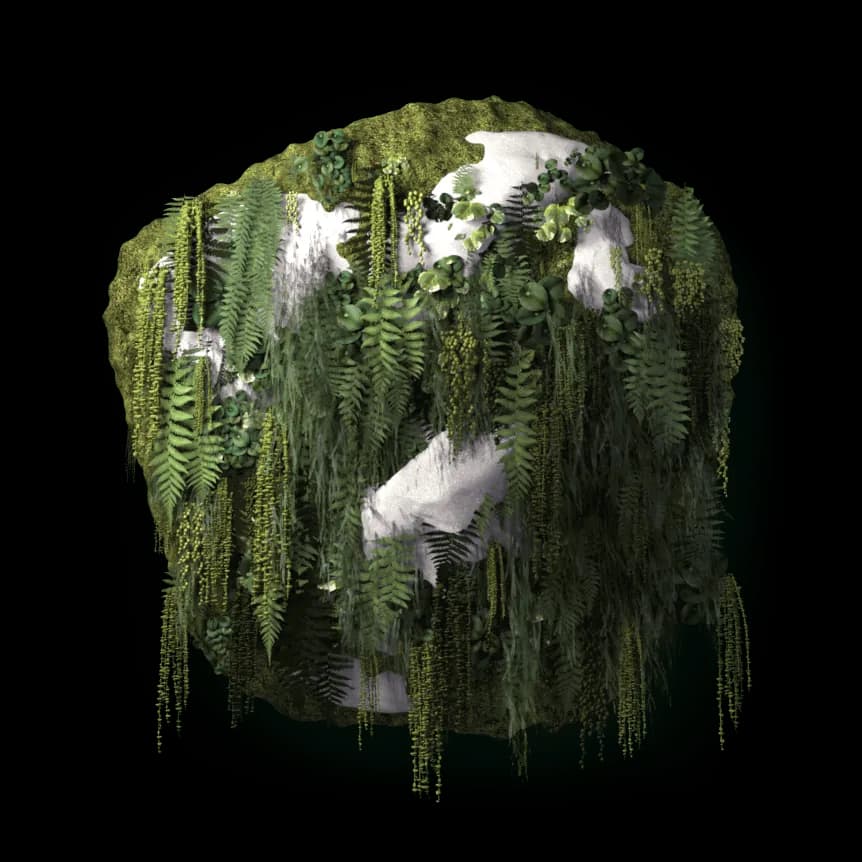 Extreme Altitude = Unique Birds Habitat