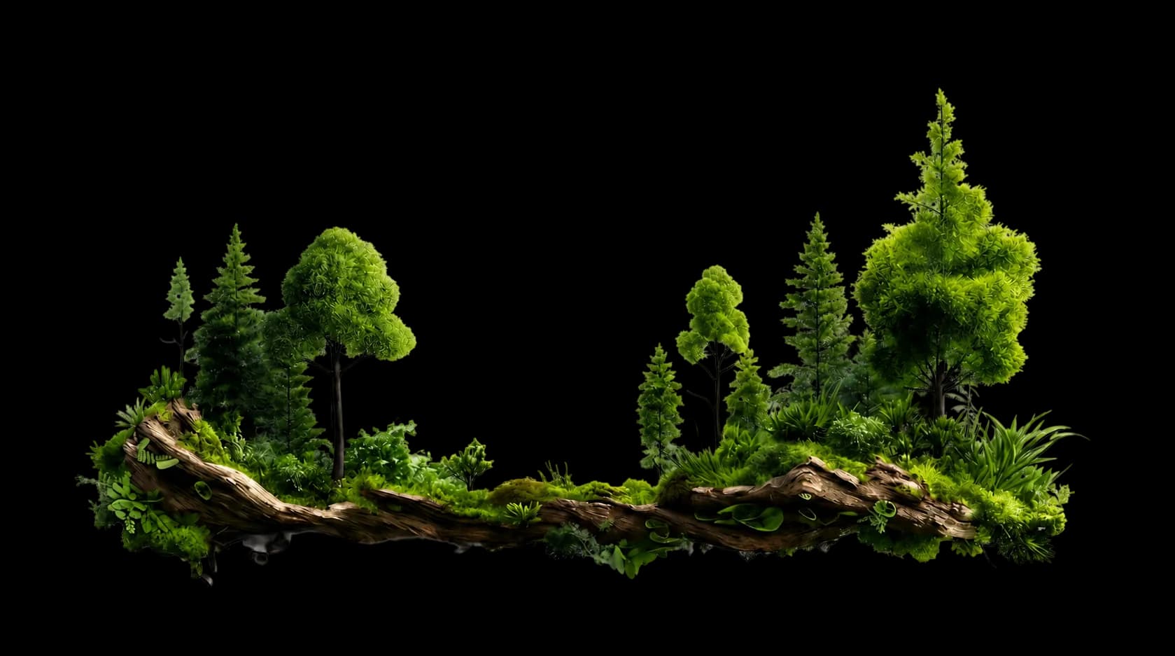 hover forest
