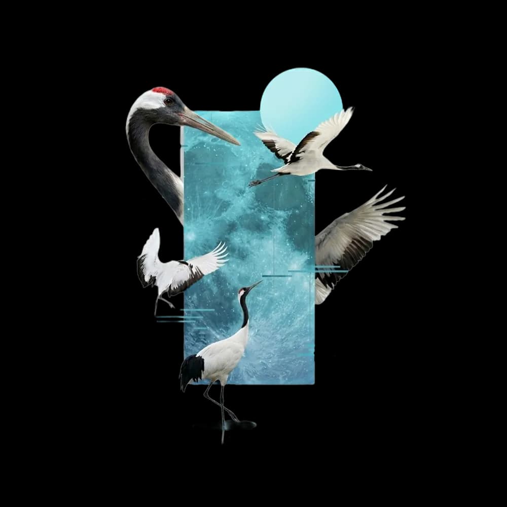 crane image