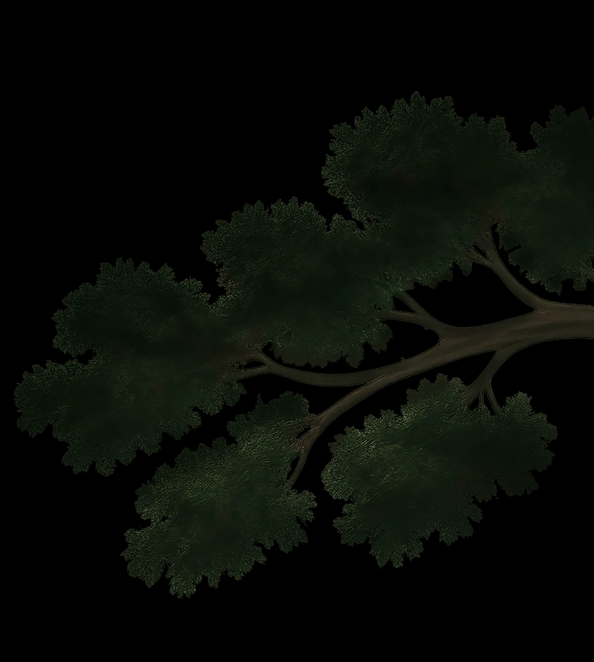 right tree