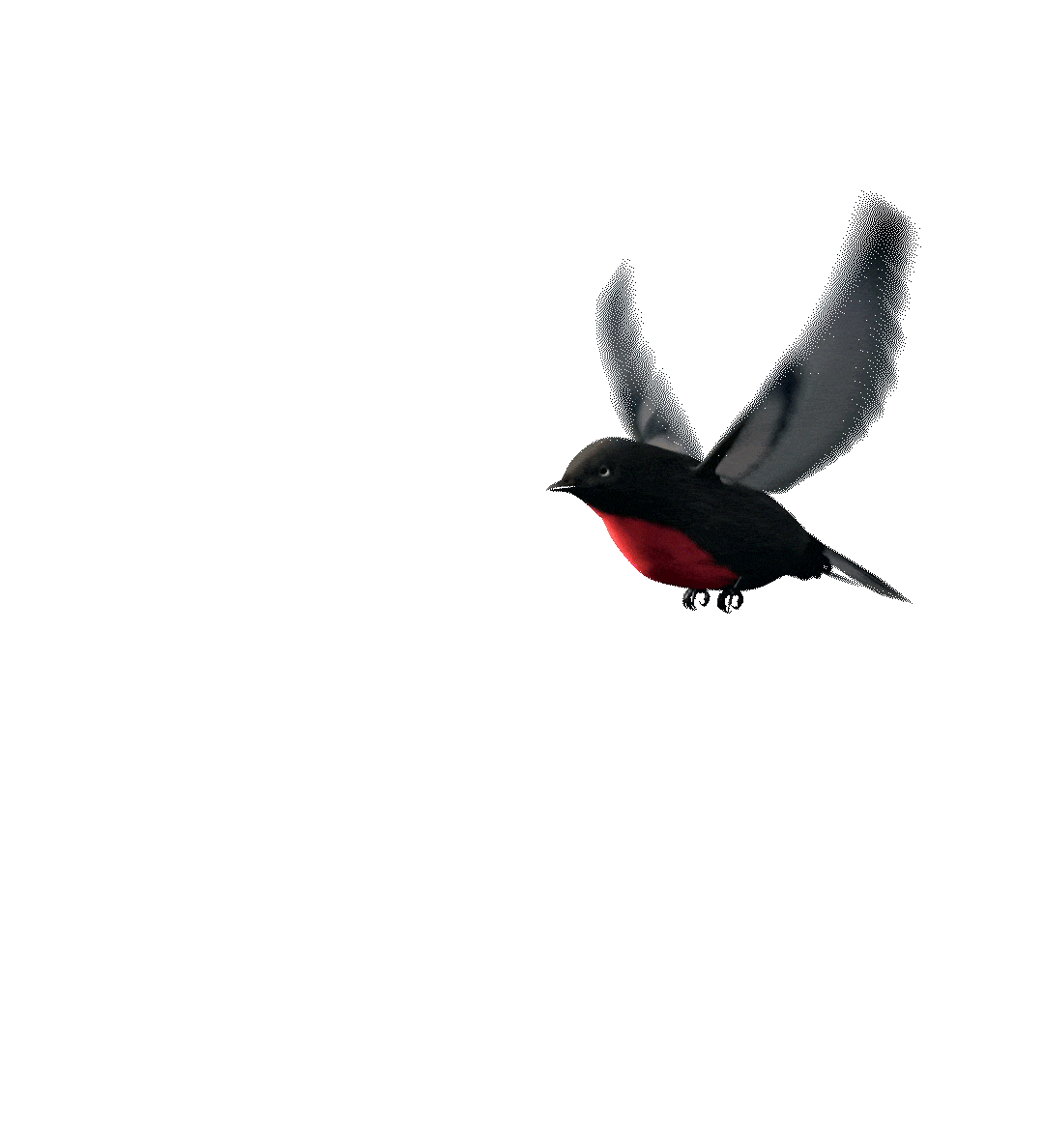Nepal Is Important for Migratory Birds Animation