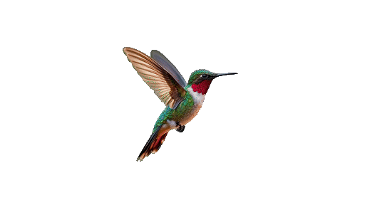 Animated bird