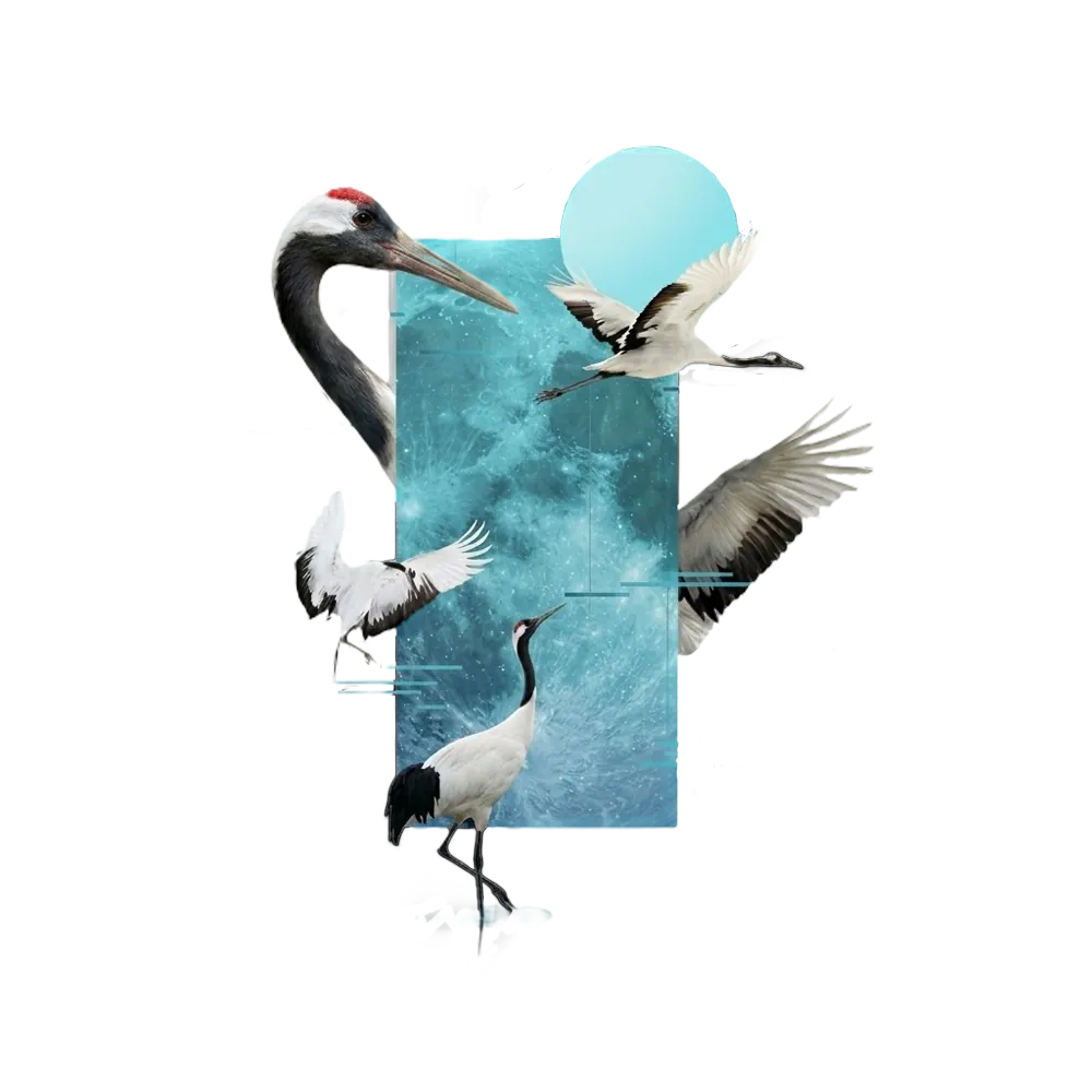 crane image