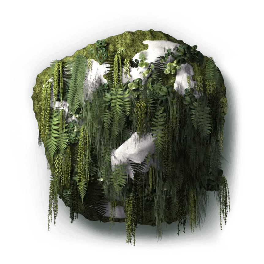 Extreme Altitude = Unique Birds Habitat