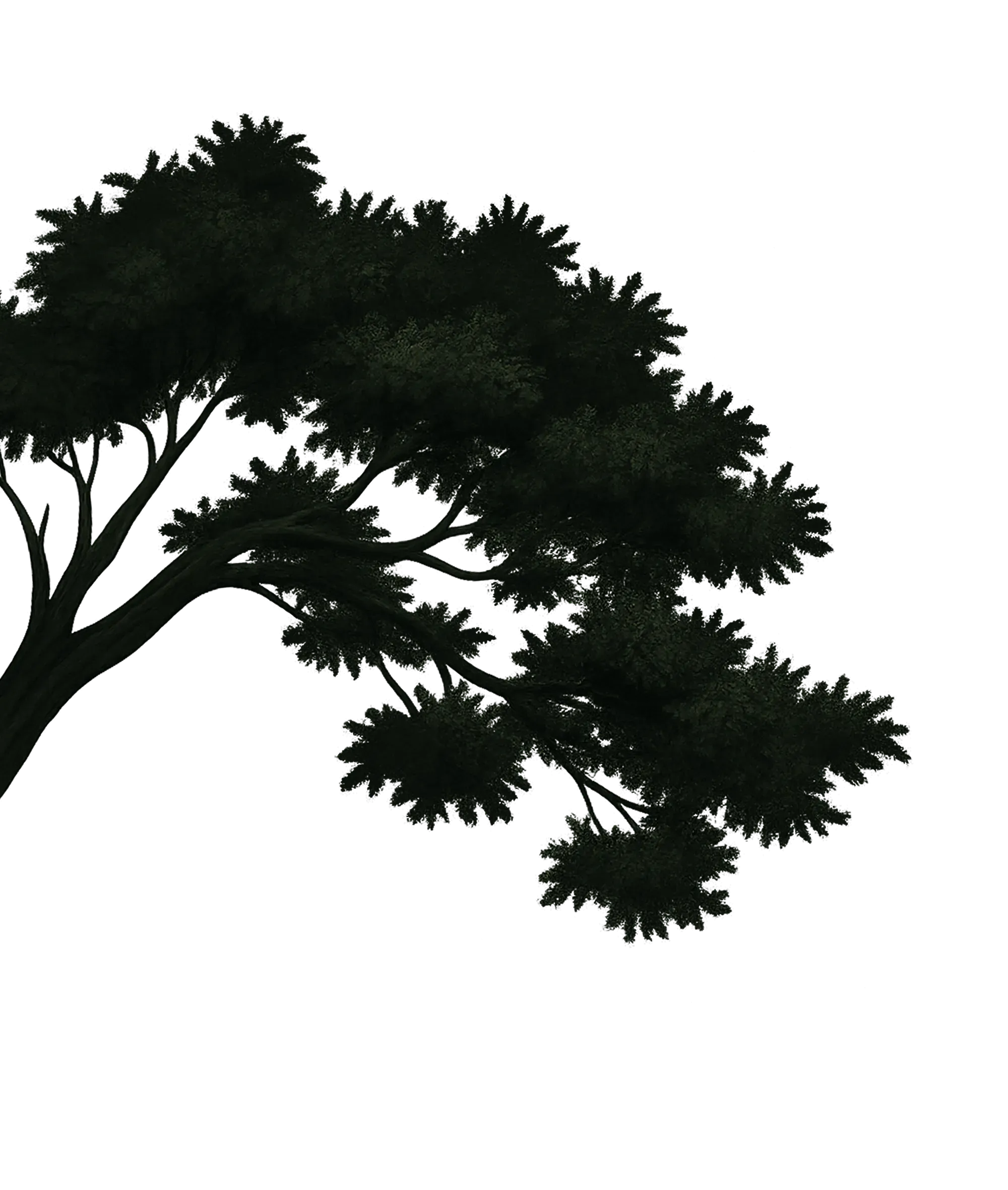 left tree