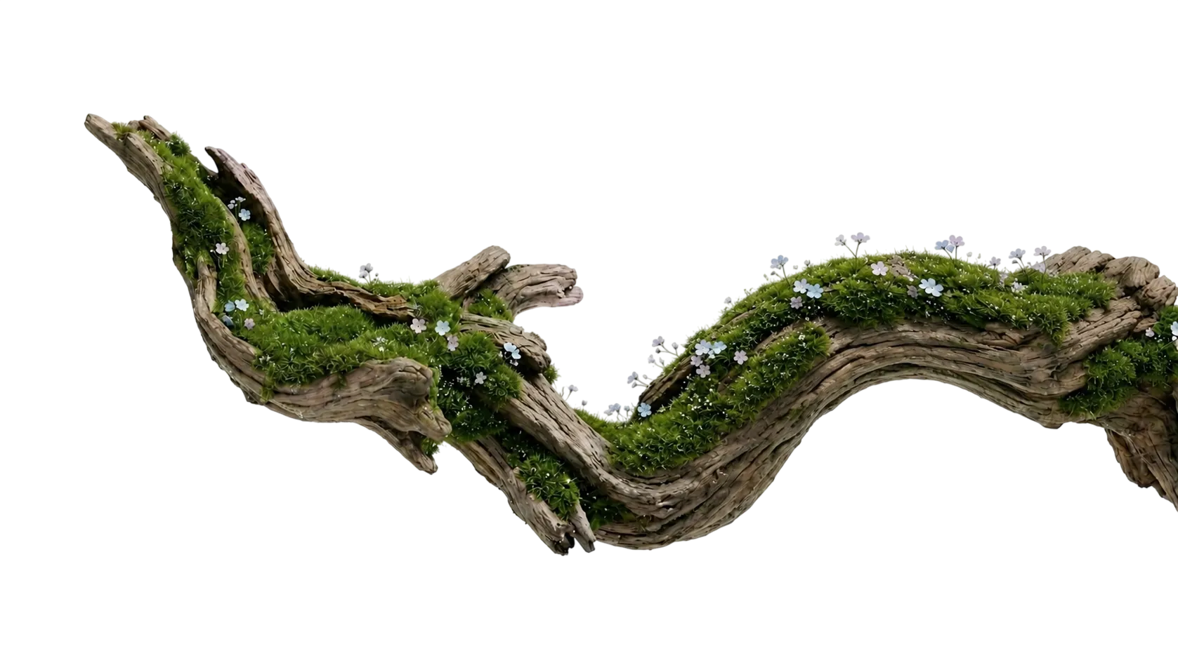 log
